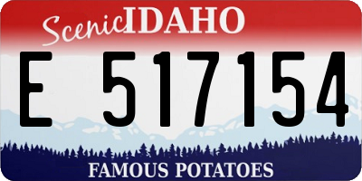 ID license plate E517154