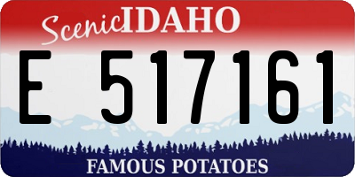 ID license plate E517161