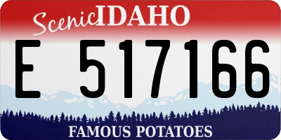 ID license plate E517166