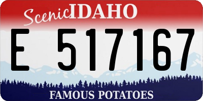 ID license plate E517167
