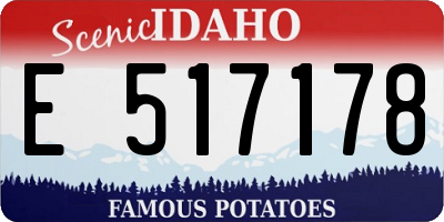 ID license plate E517178