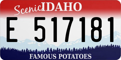 ID license plate E517181