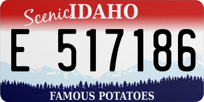 ID license plate E517186