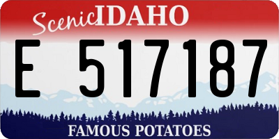 ID license plate E517187