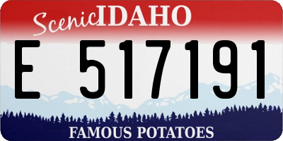 ID license plate E517191