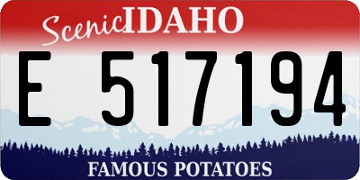 ID license plate E517194