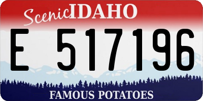 ID license plate E517196