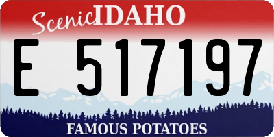 ID license plate E517197