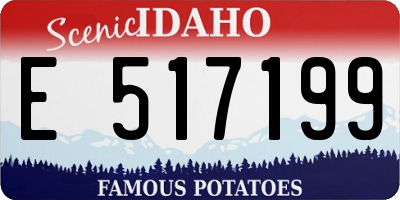 ID license plate E517199