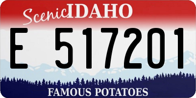 ID license plate E517201