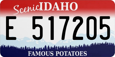 ID license plate E517205