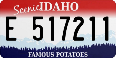 ID license plate E517211