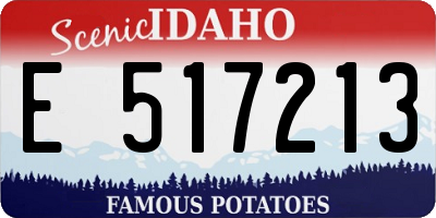 ID license plate E517213