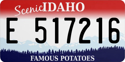 ID license plate E517216