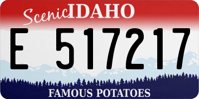 ID license plate E517217