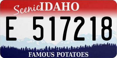 ID license plate E517218