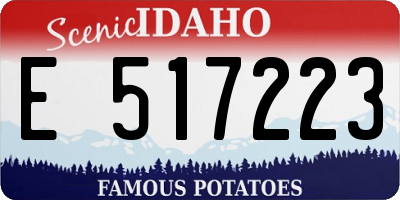 ID license plate E517223