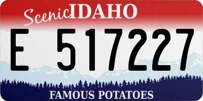 ID license plate E517227