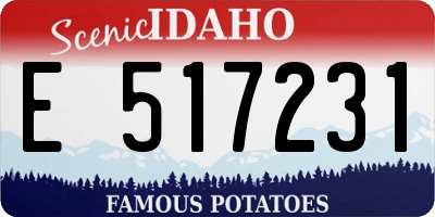 ID license plate E517231