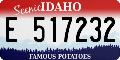 ID license plate E517232