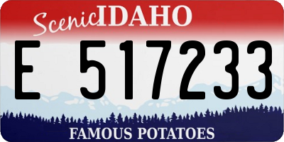 ID license plate E517233