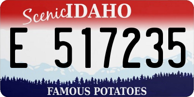 ID license plate E517235