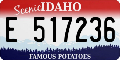 ID license plate E517236