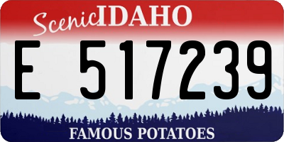 ID license plate E517239