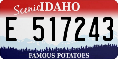 ID license plate E517243