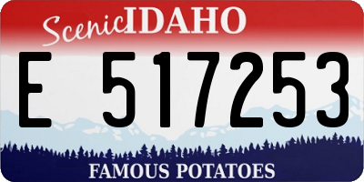 ID license plate E517253