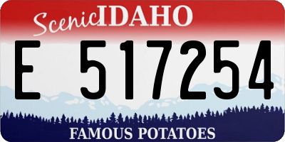 ID license plate E517254