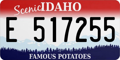 ID license plate E517255
