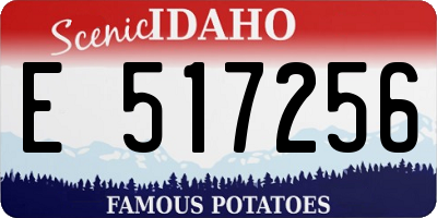 ID license plate E517256