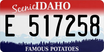 ID license plate E517258
