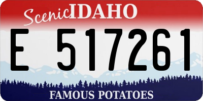 ID license plate E517261
