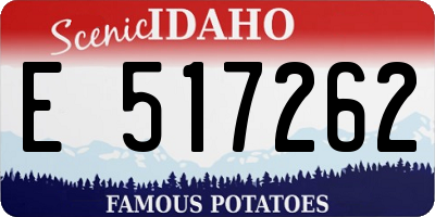 ID license plate E517262