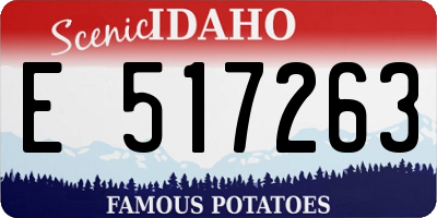 ID license plate E517263