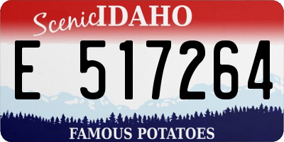 ID license plate E517264
