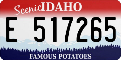 ID license plate E517265