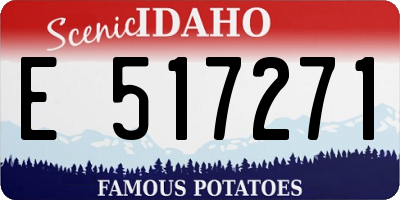 ID license plate E517271