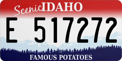 ID license plate E517272