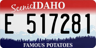 ID license plate E517281