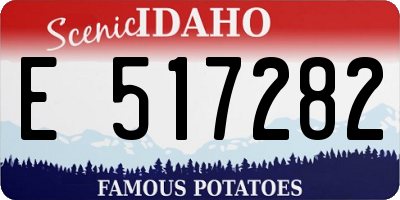 ID license plate E517282