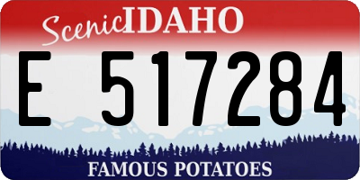 ID license plate E517284