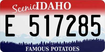 ID license plate E517285