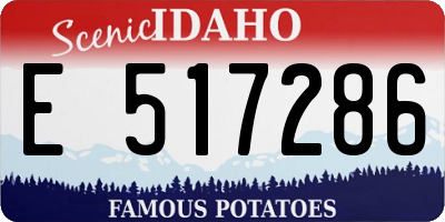 ID license plate E517286