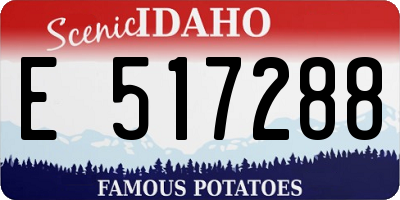 ID license plate E517288