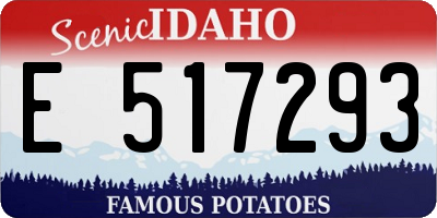 ID license plate E517293