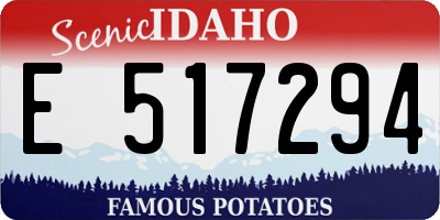 ID license plate E517294