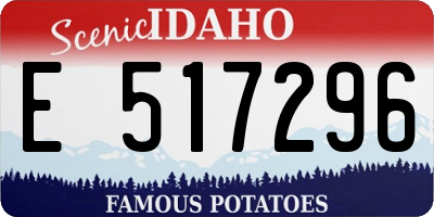 ID license plate E517296